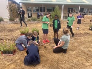 Kids and teachers standing and crouching in planting area, planting seedlings in the ground