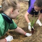 two female school kids planting a seedling in the ground