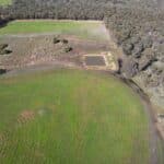 drone shot of a planting site showing newly ripped planting lines next to remnant bushland.
