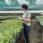 Lady holding a clipboard inspecting rows of seedlings