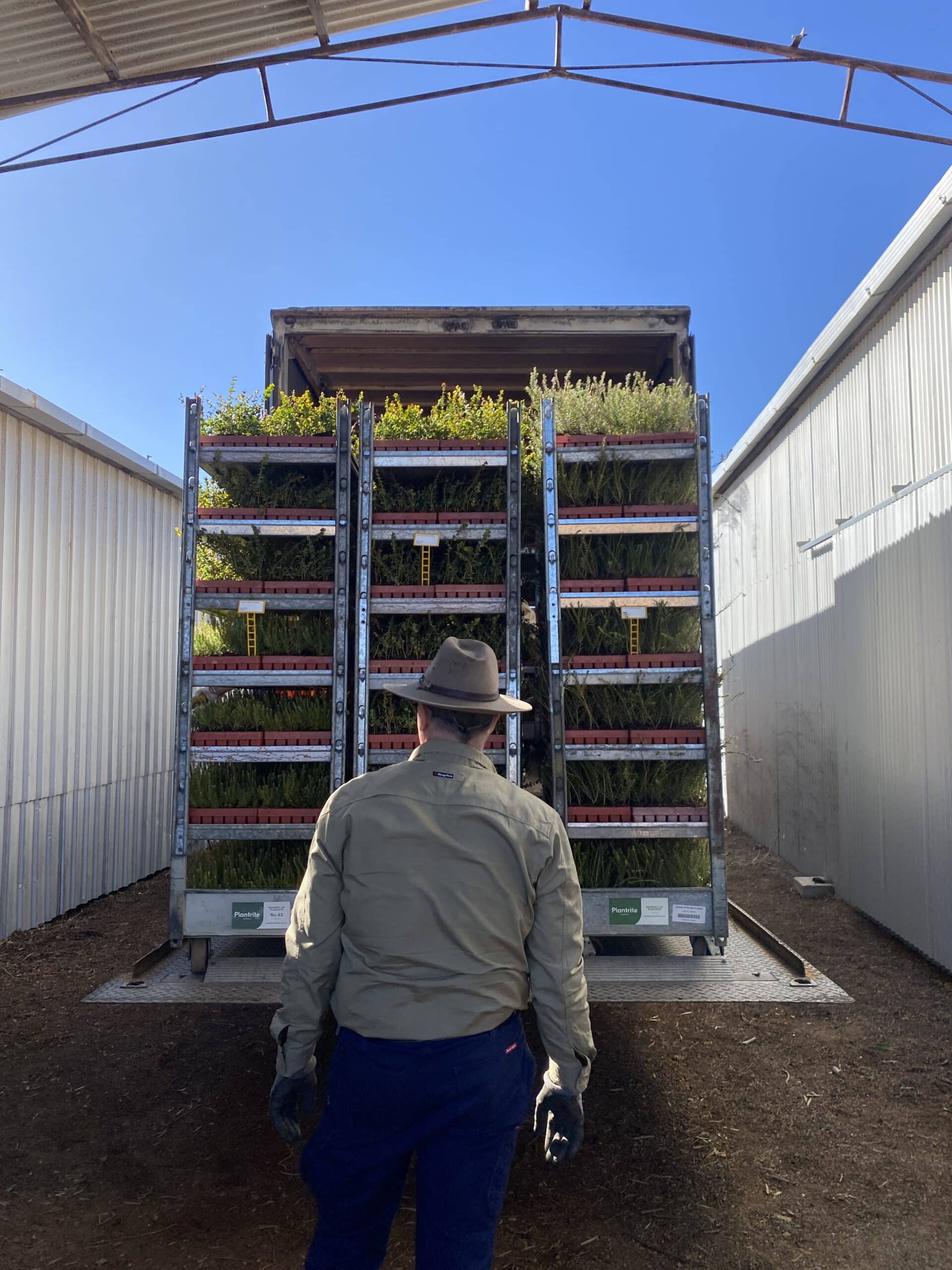 Man standing in front of truck with trolley's of seedlings