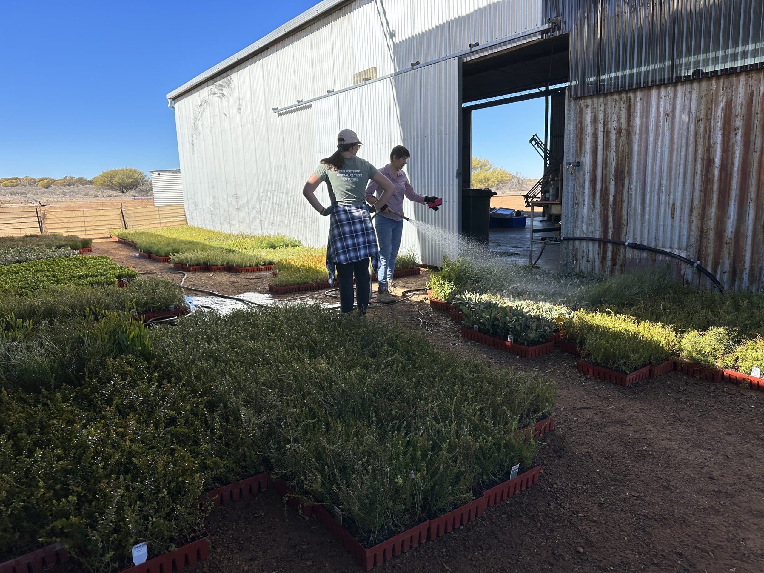 Two women standing watering the seedlings in the on-site nursery