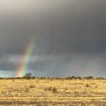 Rainbow and rainclouds over yellow soil paddock
