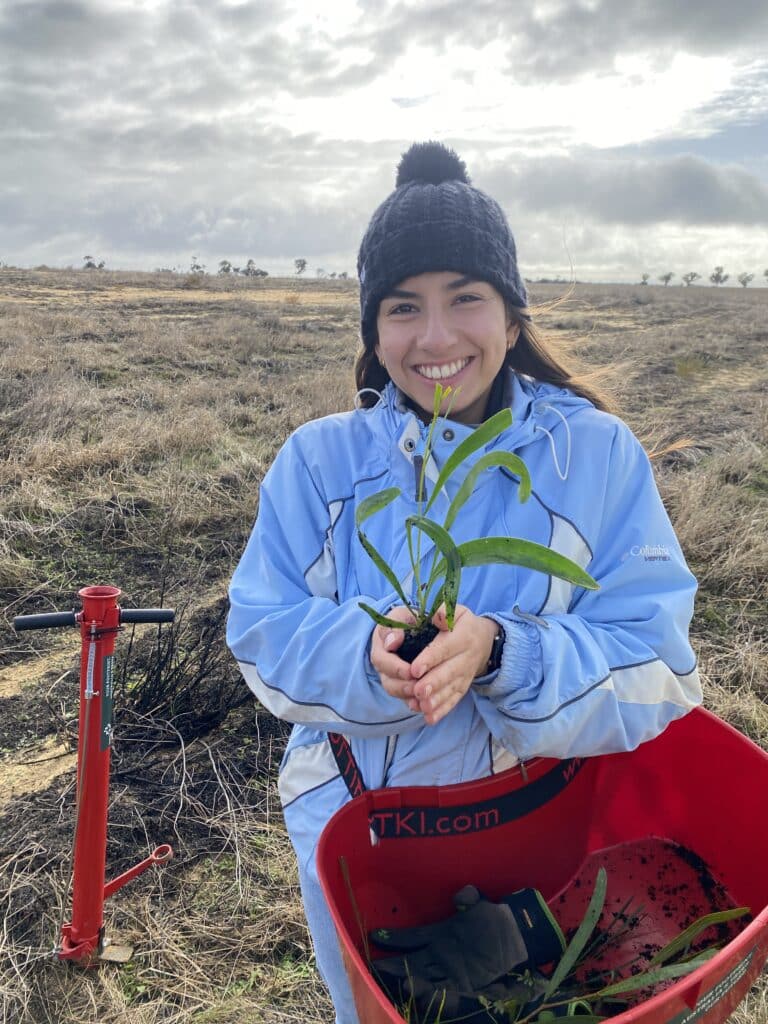 Woman holding an Acacia acuminata seedling.