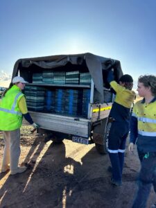 Three people standing around a ute full of empty seedling trays
