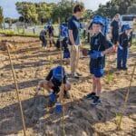 Students planting native seedlings alongside supporting stakes.