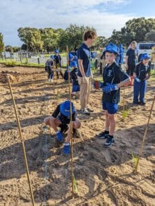 Students planting native seedlings alongside supporting stakes.