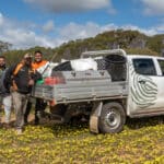 Four men standing next to a ute in a paddock