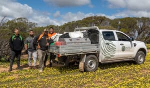 Four men standing next to a ute in a paddock