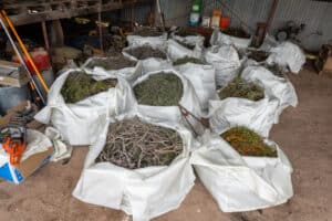 Bags of native seed and plant material in a large open shed