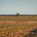 Bare paddock with lines ripped for tree planting 