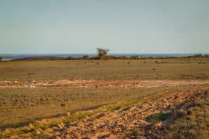 Bare paddock with lines ripped for tree planting 