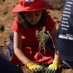 Girl planting a seedling in the ground