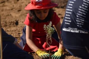 Girl planting a seedling in the ground