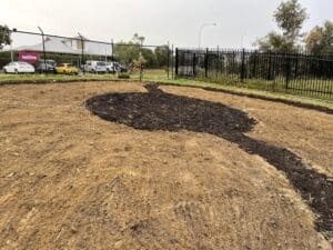 Prepared planting area