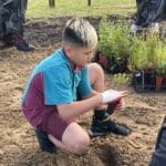 Boy holding seedling to plant in the ground