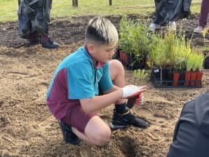 Boy holding seedling to plant in the ground