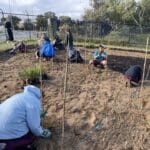 Children planting seedlings with stakes to support them as they grow.