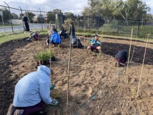 Children planting seedlings with stakes to support them as they grow.