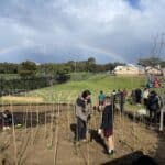 rainbow over a planting area with plant support stakes and children 