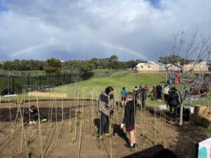 rainbow over a planting area with plant support stakes and children 