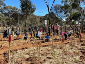 People and kids planting seedlings in the ground surrounded by plant support sticks