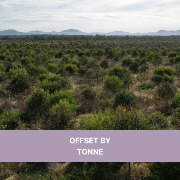 Offset By Tonne - Business