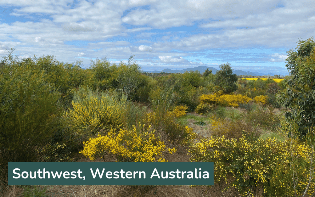 Biodiversity in sothwest Western Australia