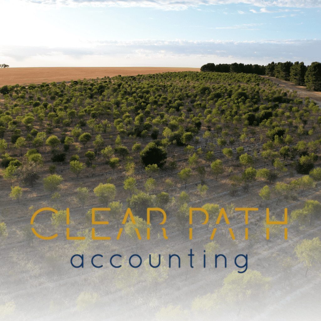 Clear Path Accounting Logo