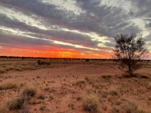 Sunset over the Great Victoria Desert.