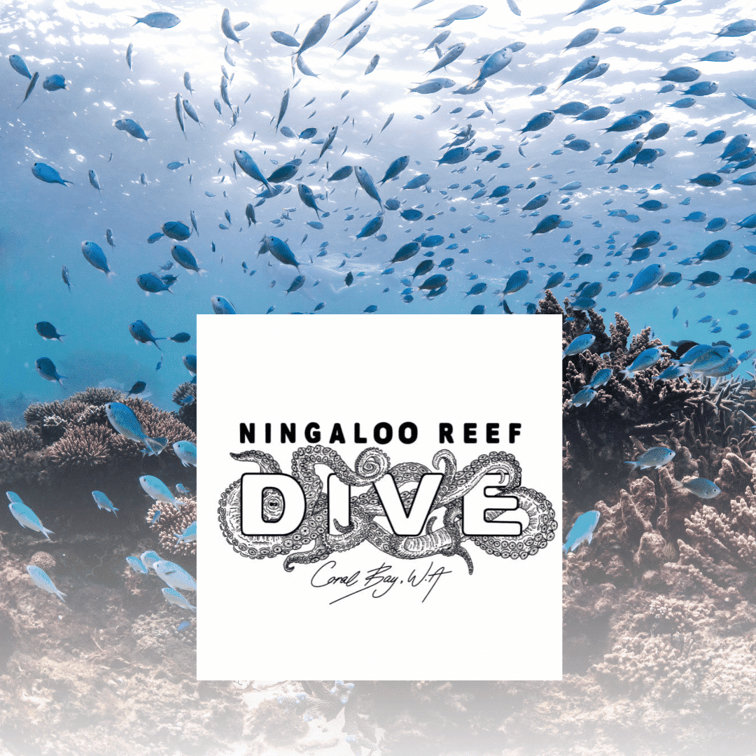 Ningaloo Reef Dive Partnership | Carbon Positive Australia