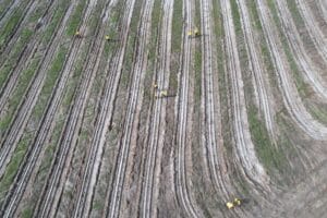 High angled drone image of people planting along planting rows.