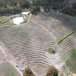 Drone image of a ripped planting area.