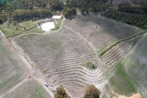 Drone image of a ripped planting area.