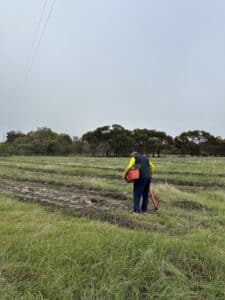 Man with his back to the camera standing at the start of a planting row.