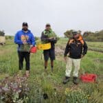 Three men standing holding seedling buckets with full trays of seedlings in front on them on the ground