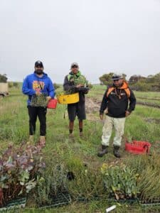 Three men standing holding seedling buckets with full trays of seedlings in front on them on the ground