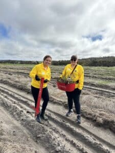 Two women in yellow RAC shirts standing in the middle of a planting row with a seedling bucket and pottiputki.