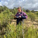 Man standing behind a Melaleuca ('Paperbark') tree reading genus toolkit and holding monitoring stick