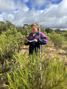 Man standing behind a Melaleuca ('Paperbark') tree reading genus toolkit and holding monitoring stick