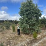 Woman standing next to a tall tree