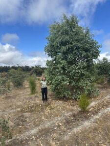 Woman standing next to a tall tree