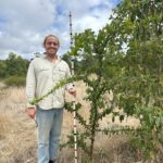 Man standing next to a tall tree with monitoring stick