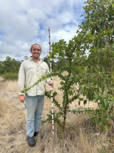 Man standing next to a tall tree with monitoring stick