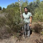 Woman holding monitoring stick and standing next to vegetation growth