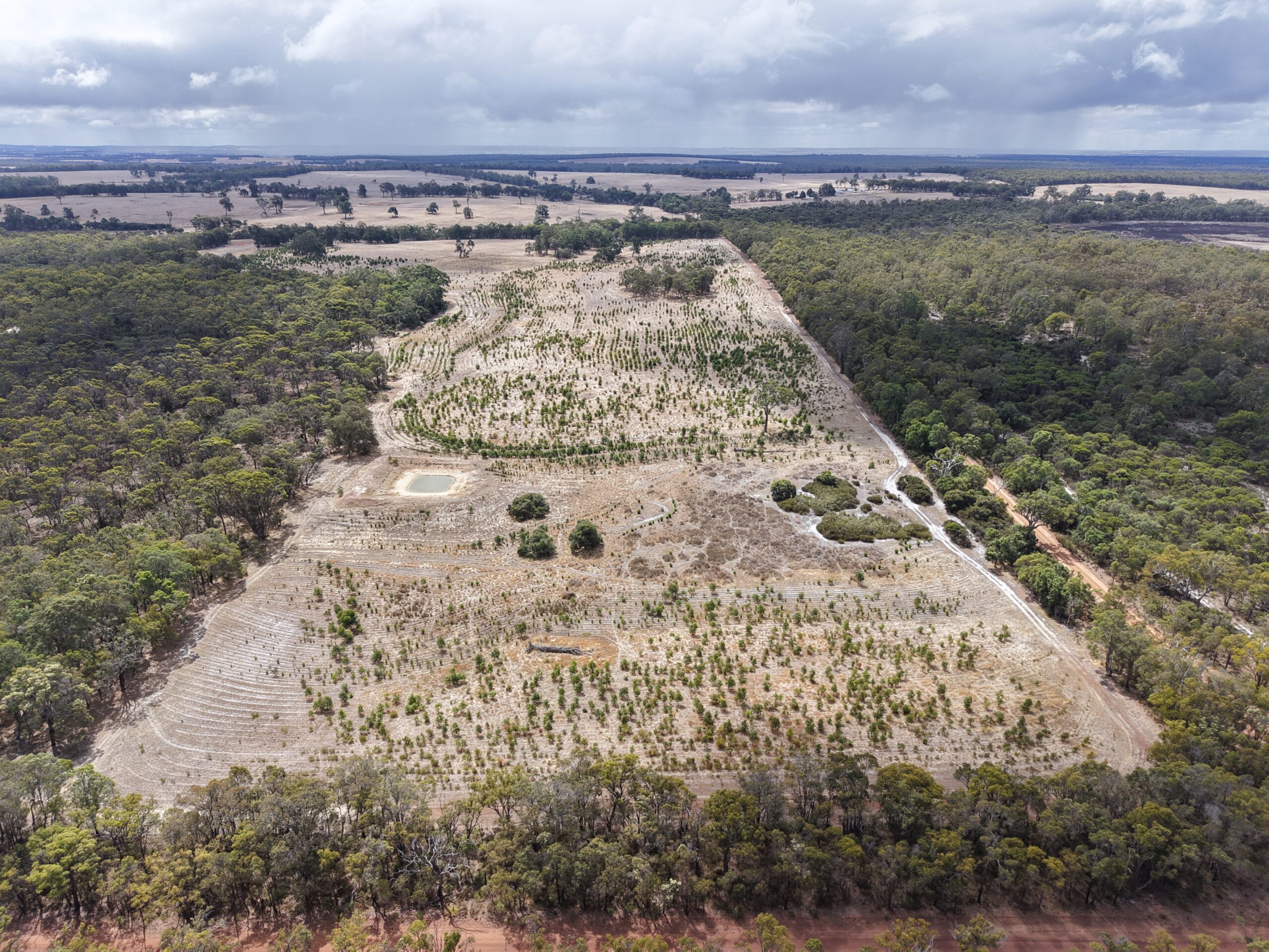 Aerial landscape shot of remnant bushland and cleared land that has been planted.