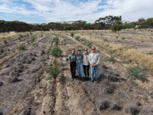 Four people standing in between the planting rows.