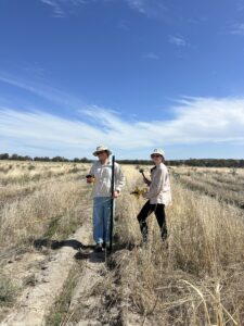 Man and woman with plot stake and measuring tape.