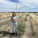 Woman holding a measuring stick and standing next to tall shrub.