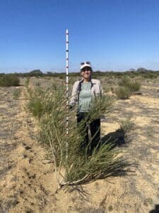 Woman holding measuring stick and standing behind tall shrub